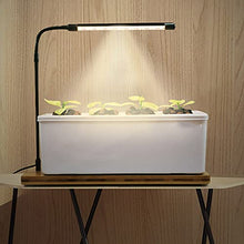 Home Indoor Kitchen Garden Hydroponics Growing System Smart LED Grow Light Kit for Both Outdoor & Indoor Plants & Gardening Kits for Home Kitchen