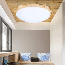 Lamp LED Round Wood Ceiling Lamp Nordic Style Living Room Lamp Acrylic Lampshade Modern Garden Lamp Outdoor Corridor Kitchen Bathroom Balcony Lamp