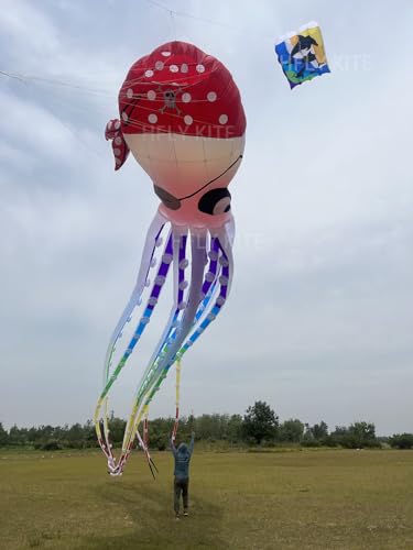 Yingfeida HFLY 20m Giant Pirate Octopus Inflatable Show Kite Colorful