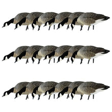 Avian-X AXP Honkers Fusion Pack Lesser Canada Goose Decoys Set of 18 Brown and White