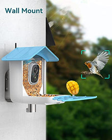 CPVAN Smart Bird Feeder with Camera, Bird Watching Camera Auto Capture Bird Videos & Motion Detection, Bird House Camera (Blue)
