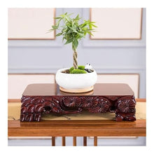 LUYOUBOZHU Vase Stand Root Carving Wood Pedestal Ornament, Rectangular Home Vase Teapot Display Holder(Large)