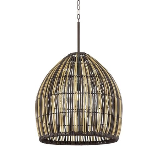 Troy Lighting Holden 1 Light Outdoor Pendant Bronze 36.5 Inches Tall