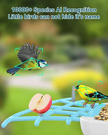 CPVAN Smart Bird Feeder with Camera, Bird Watching Camera Auto Capture Bird Videos & Motion Detection, Bird House Camera (Blue)