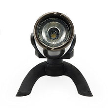 Aquascape 1 Watt LED Pond and Garden Spotlight Pack (Set of 6), Waterproof | 84045