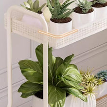 IBONSON Multi Tiered Plant Stand Indoor Living Room Floor-Standing Double-Layer Iron Flower Rack Indoor Movable Flower Rack Storage Flower Pot Rack Corner Outdoor Plant Stand