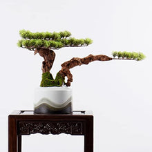 Small Bonsai Tree Artificial Bonsai Tree Green Plant Bonsai Bonsai Home Garden Living Room Decoration Plant Bonsai Garden Table Decoration Fake Bonsai Fake Plants