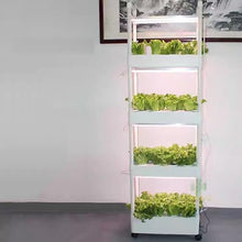 MTSYXYM Herb Garden kit,hydroponic Growing Kits & Systems,Hydroponics Tower with LED Grow Light,Indoor Garden hydroponic Growing System,for Herbs, Fruits and Vegetables. (Size : Four Layer)