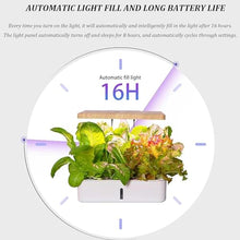 FLTRGO Indoor Gardening System,Aeroponics Growing Kit,Indoor Garden Hydroponic Growing System,hydroponic Indoor Garden,with Hydrating Pump, Adapter, Net Pots, Timer.