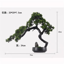 DUYHBAWRS Chinese Welcome Pine Bonsai Green Plant Living Room Hotel Home Entrance Decoration and Decorations