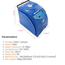 WYDDDARY 220V 1PH Commercial Electric High Pressure Steam Car Washer, 6-13Bar Steam Pressure, 18L Water Tank for Interior Cleaning, Compartment Cleaning etc.