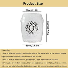 Ceramic Drum Table,Ceramic Drum Stool,Decorative Ceramic Garden Stool, Glazed Hollow Lion's Head Shoe Changing Stool Drum Stool, Suitable for Outdoor Garden,(White)