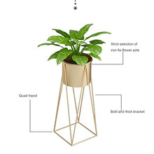 iumLeap 2-Pack Flower Stand,Living Room Iron Flowerpot Balcony Decorate Shelf,Hall Simple Succulent Plants Floor-Standing Rack Outdoor