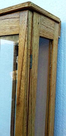 Yantra Fortin Barometer Physics Meteorology with Secured Wooden Case Collectible
