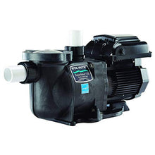 Pentair 343001 Pool Pump