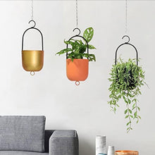 WANGKENSU Hanging Planter Indoor Plant Hanging Planter Pot Modern Flower Pot Home Decor Hanging Plant Planter Metal Plant Vase with Hooks Suitable for Indoor and Outdoor Plants (Color : 1) (1)