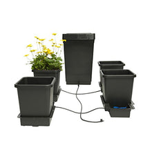 Autopot 4 Pot System with 3.9 gallon pots & 12.4 gallon Tank indoor, black