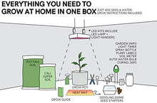THEBUDGROWER Complete Grow Tent Kit - 300 Watt LED Grow Light, Rope Hangers, Grow Plant Pot Soil, Heat & Humidity Monitor, Electronic Timer & More - Easy Indoor Setup Grow Kits