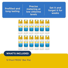 Pool FROG Bac Pac Replacement Chlorine Cartridges, 12 Pack