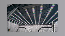 Mammoth Lighting Nova Sun Series LED Grow Light | Full Spectrum CMH Sunlike Grow Lamp with Far Red & UV Option | Dimmable High PPFD (6 Bar / 720w / 5x5 / 44" x 44")