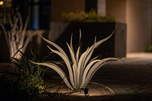 Desert Steel Octopus Agave Large Metal Yard Art 53”W x 35”H All Weather