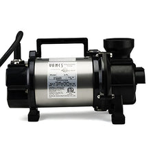 Aquascape 29975 Tsurumi 3PL Pump Solids Handling Skimmer and Pondless Waterfall Vault for Pond Water Feature Waterfall Garden, 3300 GPH 20 feet Cord 2 inch Discharge