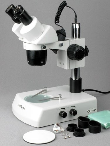 AmScope Binocular Stereo Microscope 10X-60X Magnification White