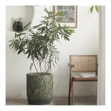 WOAITIANTIAN Flower Pots Garden Large Calibre Round Flower Pot with Cactus Pattern Concrete Planter