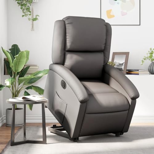 FUDUGEHMIOFWFJJ Power Lift Electric Recliner Chair Grey 28x34.1x39.2 Inches