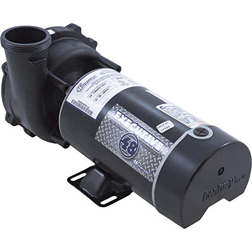 Waterway Plastics 3420820-1A Pump, 230V