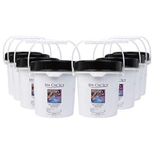 SpaChoice 5-lbs 8-Pack Premium Spa Sanitizing Chlorine Granules for Hot Tub