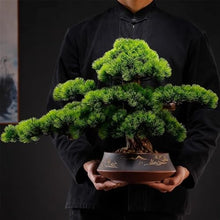 Bonsai Simulation Welcome Pine Entrance Desktop Indoor Bonsai Fake Plants Decorative Hotel Showroom Landscaping Plant