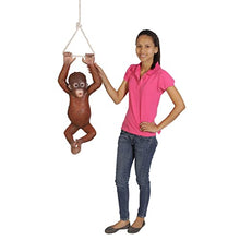 Design Toscano Pongo, the Hanging Baby Orangutan Statue