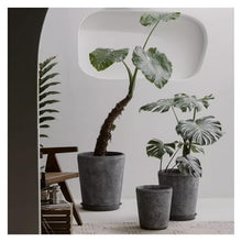 WOAITIANTIAN Flower Pots Straight Slant Round Cement Plant Pot Wide Mouth Home Large Diameter Flower Pots(Large)