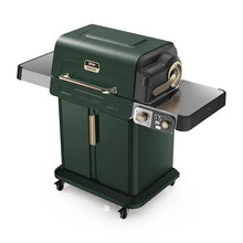 Ninja FlexFlame Grill & Smoker, Electric & Propane, 5-in-1, Green, PG301GN
