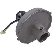 Pentair Blower Kit, MasterTemp 300, NAT.