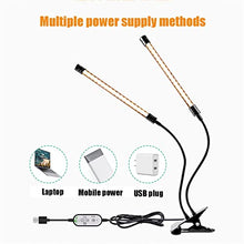 1-4 Heads Grow Lights for Indoor Plants, Full Spectrum Clip on Plant Grow Lamp with 4/8/12 Timer, 360° Adjustable Gooseneck, Five Levels