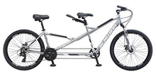 Schwinn Twinn Classic Tandem Adult Beach Cruiser Bike Grey