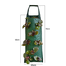 BBYYDS 48 Pockets Strawberry Planting Bags Garden Plant Grow Hanging Planter Pot Potato Plants Support for Veg Herbs Flowers