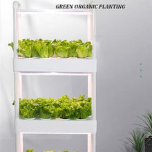 MTSYXYM Herb Garden kit,hydroponic Growing Kits & Systems,Hydroponics Tower with LED Grow Light,Indoor Garden hydroponic Growing System,for Herbs, Fruits and Vegetables. (Size : Four Layer)