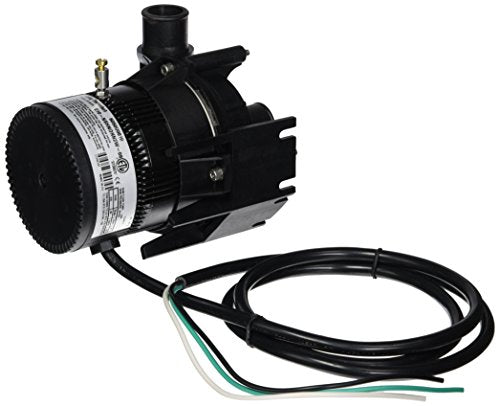 Laing E10-NSTN1W-19 Spa Circulation Pump
