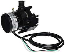 Laing E10-NSTN1W-19 Spa Circulation Pump