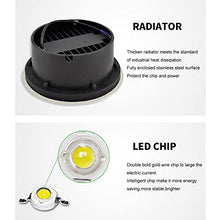 CHINLIFE Garden Buried Light 6W Outdoor Ground Light IP67 Waterproof Round Landscape Lamp for Driveway, Pathway, Patio, Decking Lights (20 Pack) (Color : Blue-6W, Size : AC-24V)