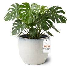 Emissary - Round Planter Lg White 23x20 H