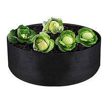 BBYYDS Growing Bags for Household Plants, Gardening Pots, Elevated Plant Beds, for Planting Flowers and Vegetables