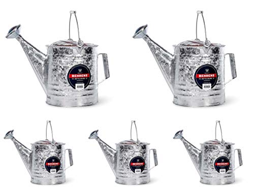 Behrens 210 2-1/2-Gallon Steel Watering Can, Silver - 5 Pack