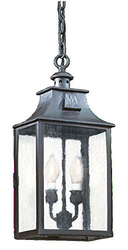 Troy Lighting FCD9004OBZ Traditional Two Light Hanging Lantern from Newton collection in Bronze/Dark finish, 5.50 inches