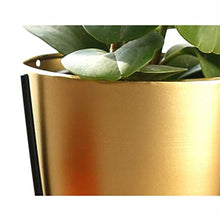 MIIKHI Plant Stands,I Flower Stand,Indoor Balcony Multi Storey Flower Pot Shelves Living Room Shelfnishings/Large