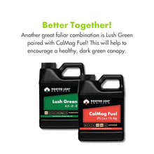 Rooted Leaf Agritech Lush Green - Carbon Based Nitrogen Fertilizer with Potassium, Nitrate Free Liquid Spray Feed nutrients for Garden Plants lawns Grass Turf sod - 5 Gallon