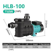 2023 New Self-Priming Circulating Filter Pump 2 Inch/50mm for Freshwater Seawater in Fish Ponds Swimming Pools and Baths (Color : HLB-100 1HP, Size : 2-2-0)